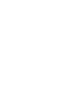 VFL